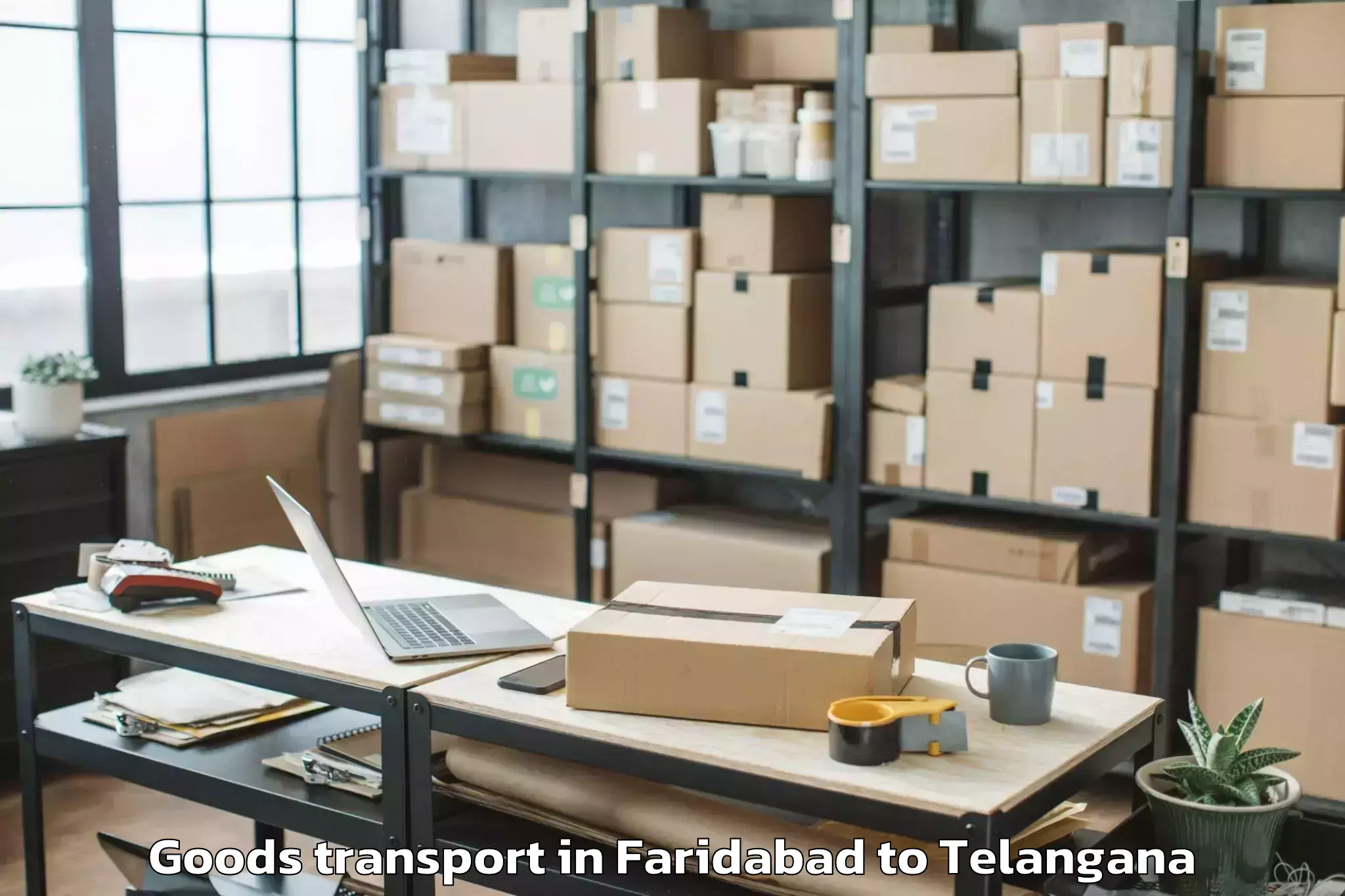 Professional Faridabad to Khammam Goods Transport